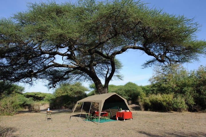 3 Days Tanzania Camping Safari image