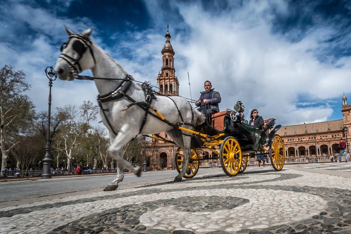 Horse and Carriage Sightseeing Tour in Seville image