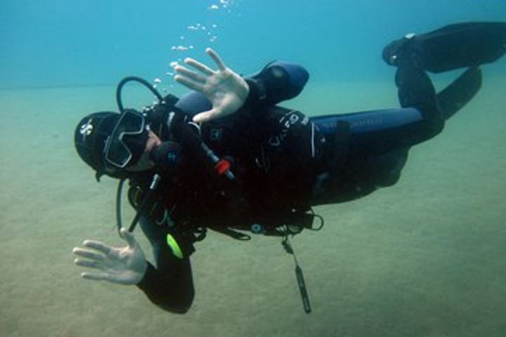 Guided diving Taormina & Isola Bella image