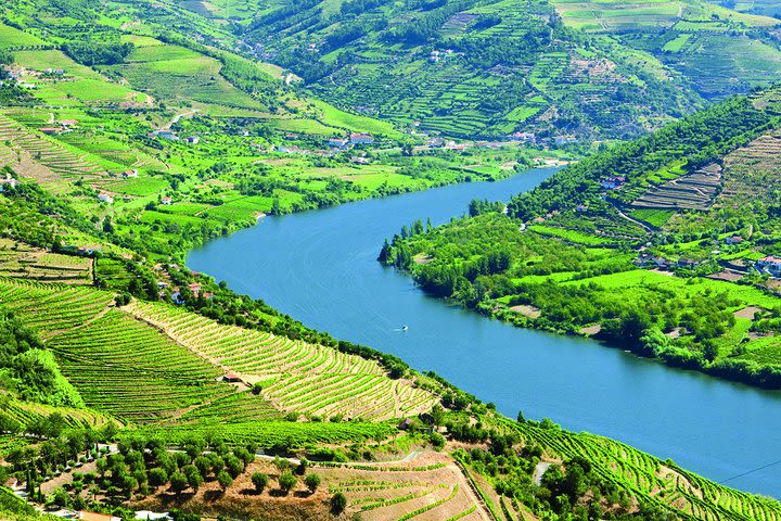 Douro Valley Premium Tour from Porto with lunch, wine tasting & river cruise image