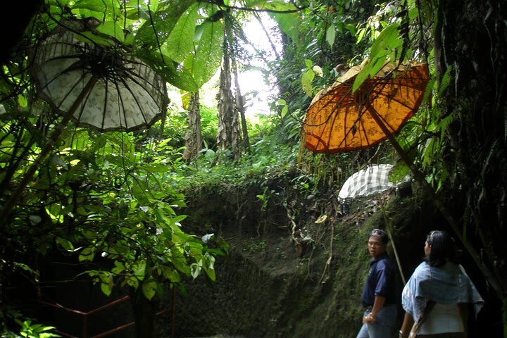 An Eco-Walk through Green Bali image