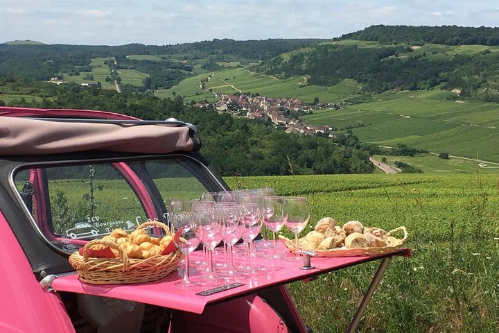 Unusual exploration of the terroirs of Burgundy in 2CV - from 6 people image