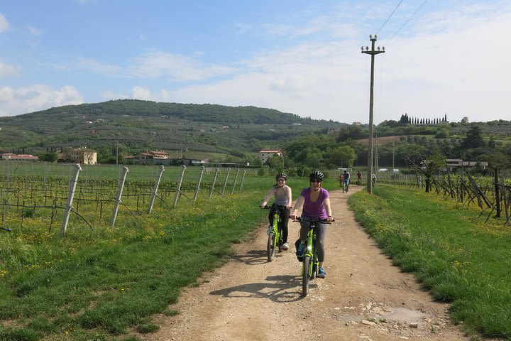 Verona and the hills e-bike tour image