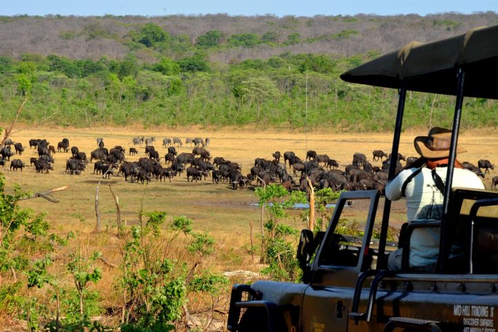 Zambezi National Park Game Drive image
