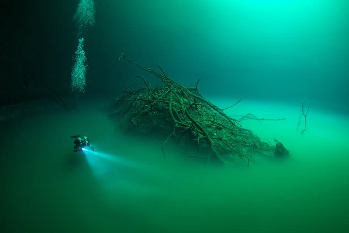 2 cenote divings (including one deep diving) for advanced divers in Tulum image