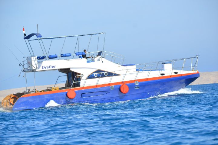 Private Dolphin House Boat Trip with Lunch image