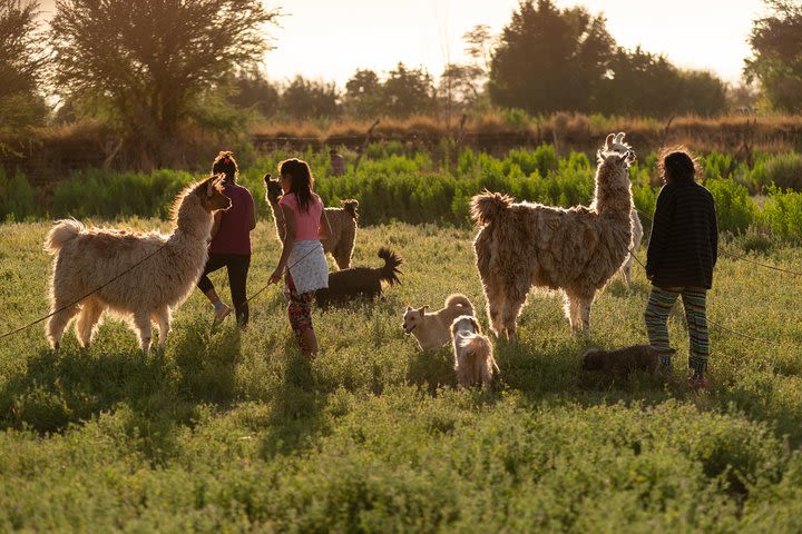 Ancestral Caravan with Sandra Flores - Half Day Special Tour - Local Community image