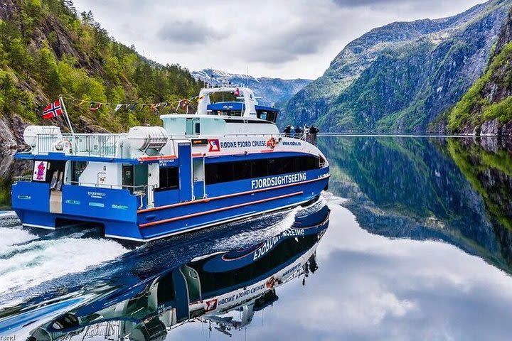 Bergen 3-in one Guided Tour - Fjord Cruise, City Sightseeing and Mount Fløyen image