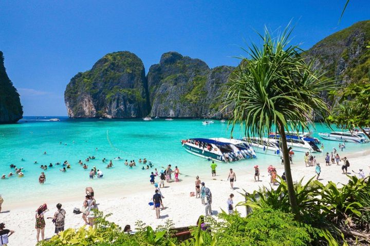 Phi Phi Half Day Premium Tour Speed Boat Tour image