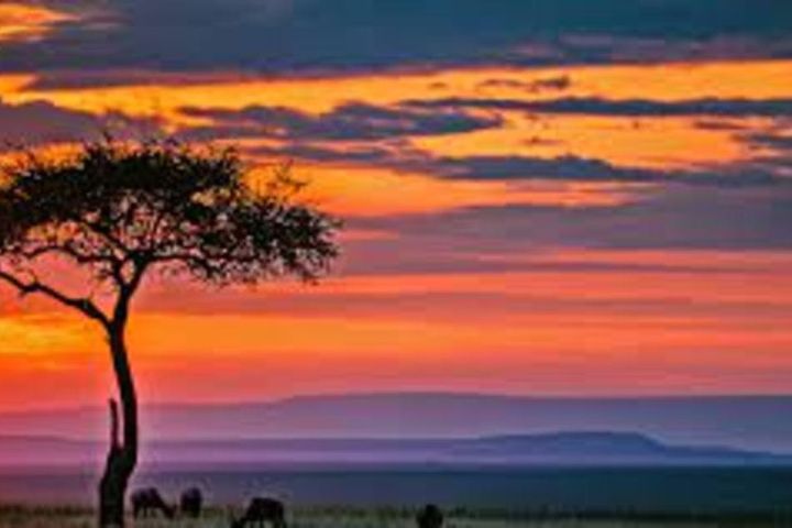 3 days masai mara budget safari image