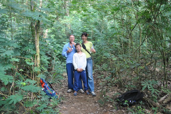 The Trailblazer Rain Forest Trek image