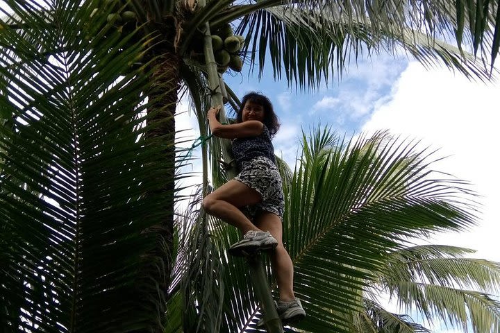 Damnoen Saduak Floating Market Small Group Tour image