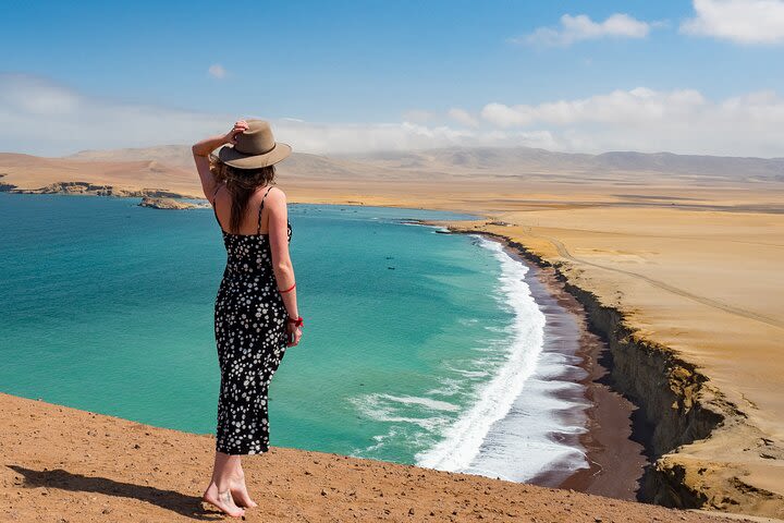 PARACAS! Ballestas Islands + Paracas National Reserve + Candelabro and much more image