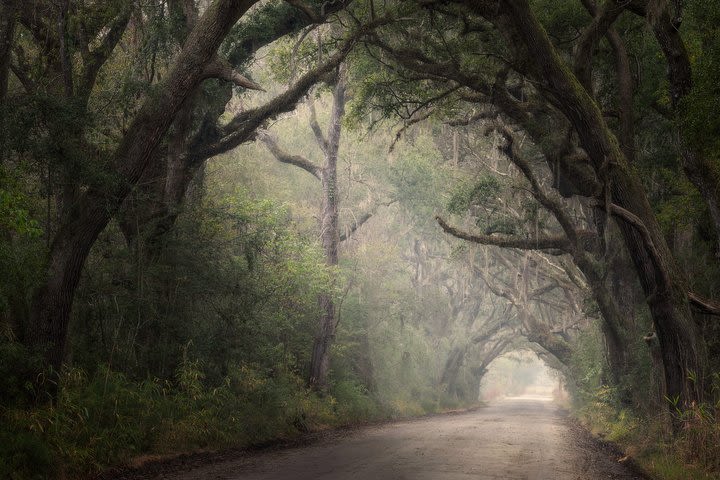 Charleston Photography Tours - Half Day Expedition image