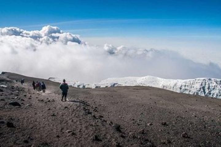 Mt Kilimanjaro trekking (The Northern Circuit Route) image