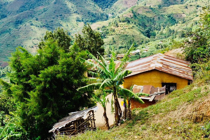 Uluguru Trekking Tour 4 days 3 Nights image