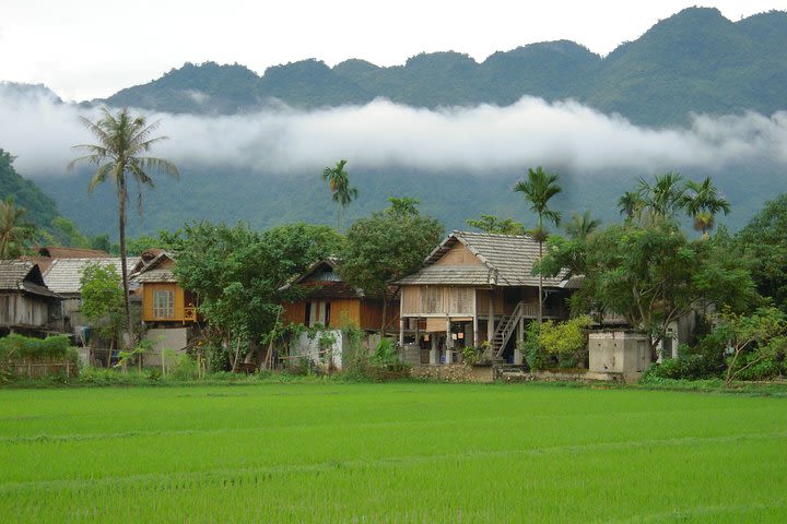 2 Days Tekking Adventure in Mai Chau from Hanoi image