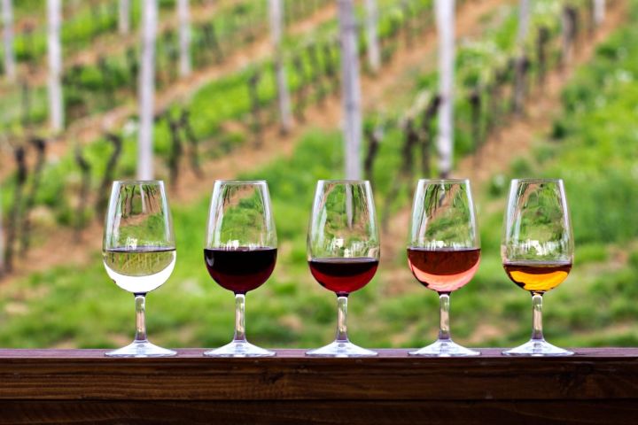 Half-Day Hill Country Wine Shuttle image