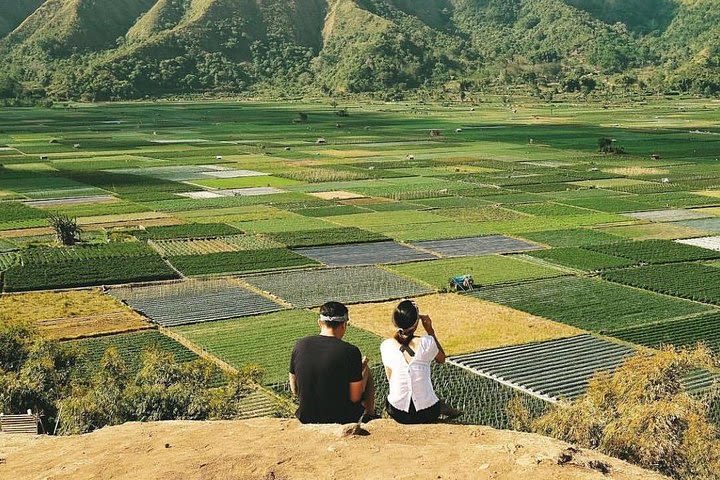 Sembalun Package.. (Special Rice Terrace View)  image