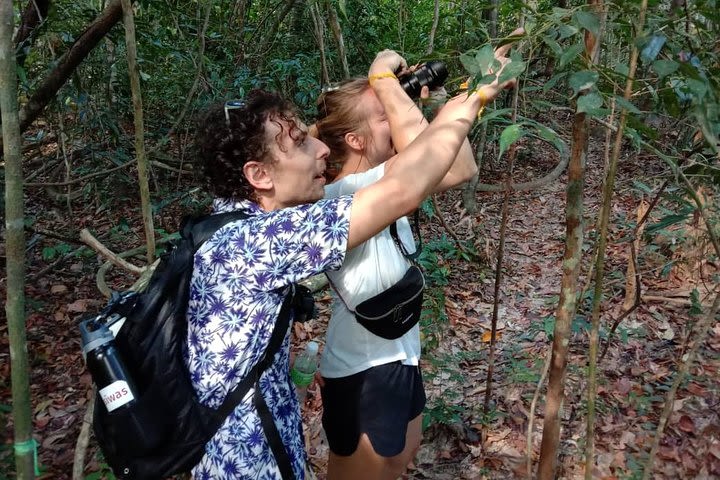 Bird Watching Desaru Coast (vicinity) image