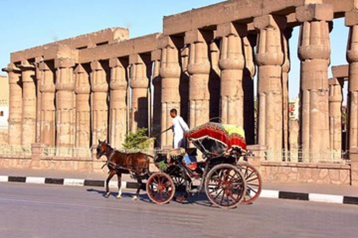 Luxor city tour image