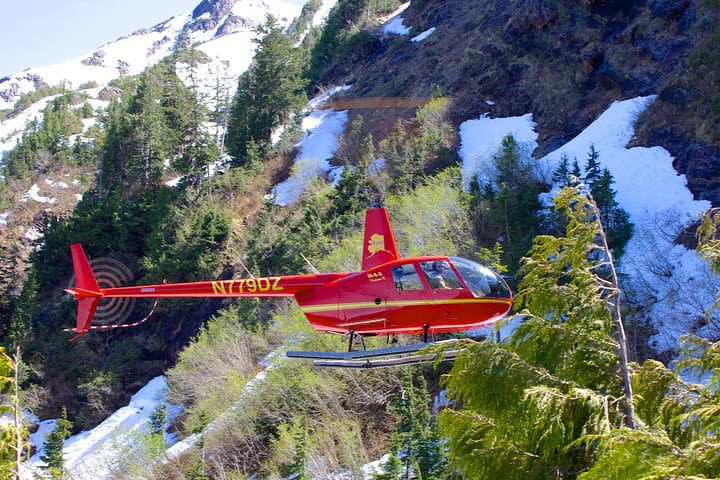 Ketchikan Helicopter Tour, Mountain Lakes image