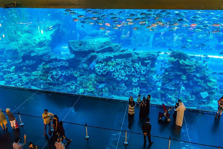 Dubai Mall Aquarium & Underwater Zoo image