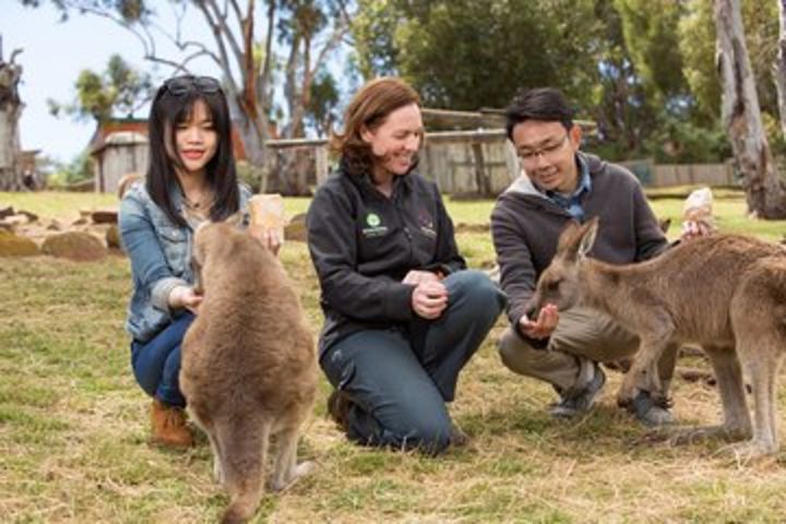 Bonorong Wildlife Park and Richmond Afternoon Tour from Hobart image