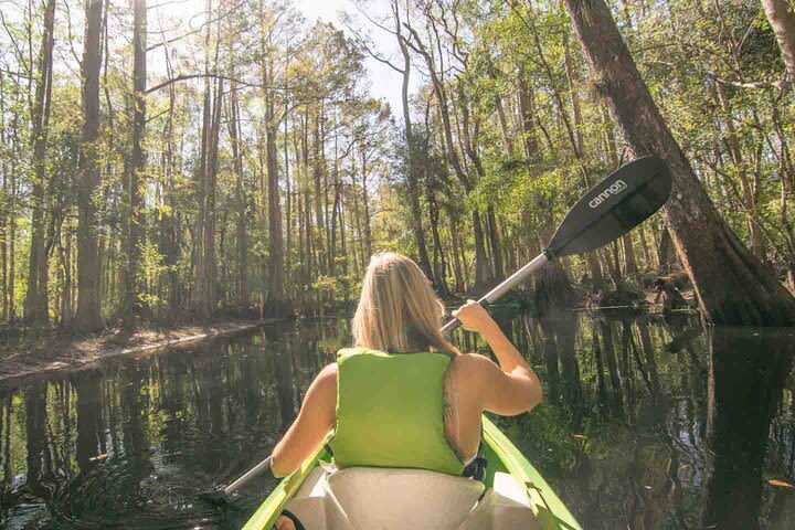 Half-Day Shingle Creek Guided Kayak Tour with Lunch and Roundtrip Transport image