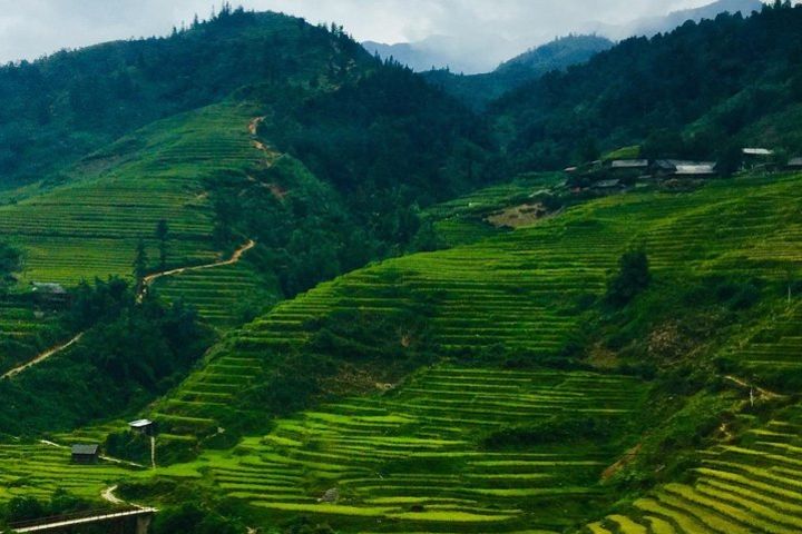 2 Days Private Sapa Trek with Black Hmong Tribesman image