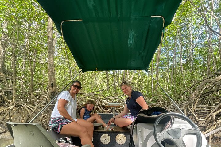 Monkey Mangrove Boat at Nacarcosta image