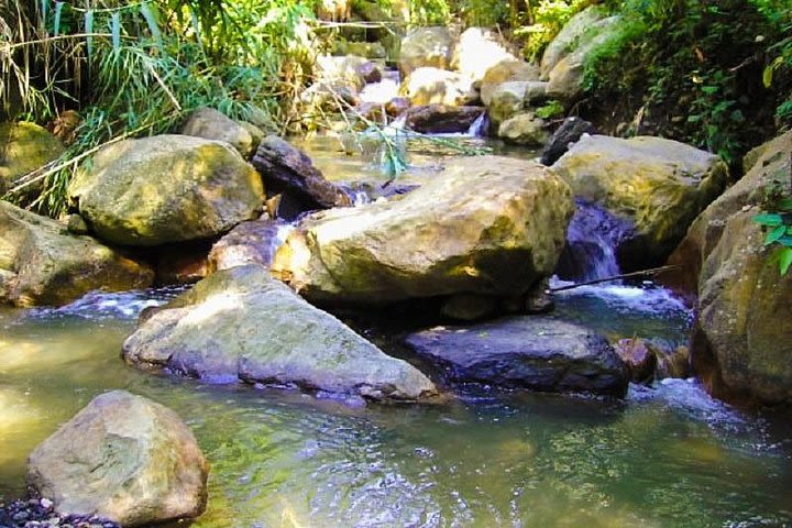 Full Day Towards the El Tambo Waterfall (Private) image