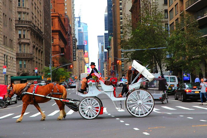 NYC Horse Carriage Ride in Central Park (50 Minutes - Photo Stops) image