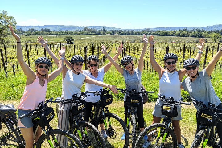 Half-Day Sonoma Valley Bike and Wine Tour (E-bike or Regular) image