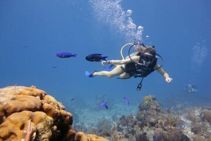 2 Stops Scuba Diving for beginners Full Day Boat Trip,Transfer, Lunch – Hurghada image