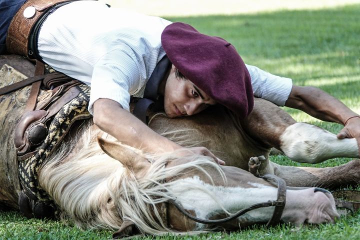 The Gaucho´s Estancia Tour image