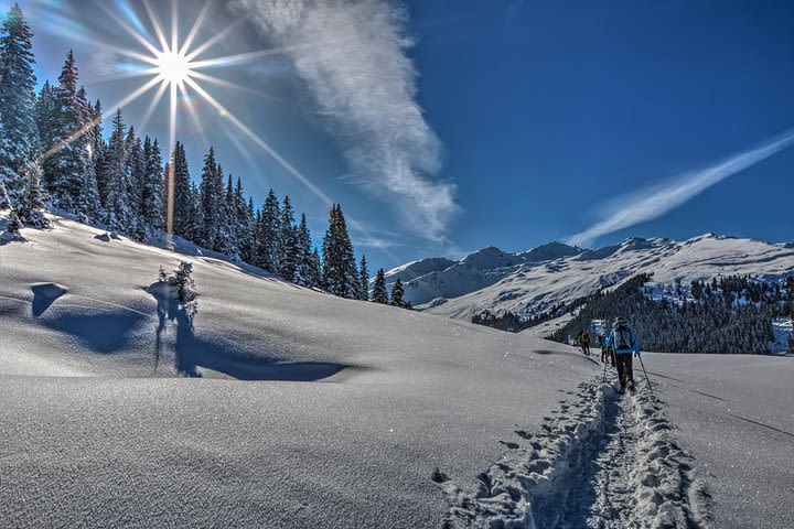 Guided Winter Wonderland Snowshoeing Adventure From Prague image