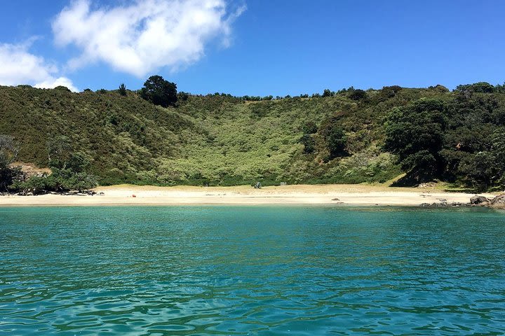 Waiheke Island Bush & Beach Walk image