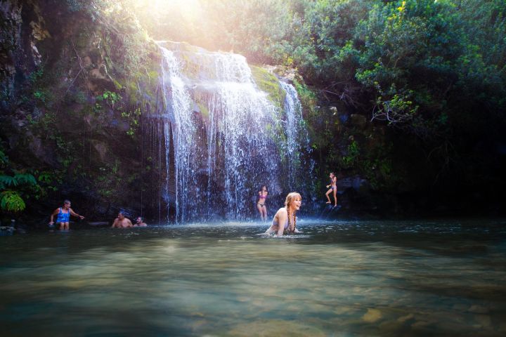 Kohala Waterfalls Adventure Tour image