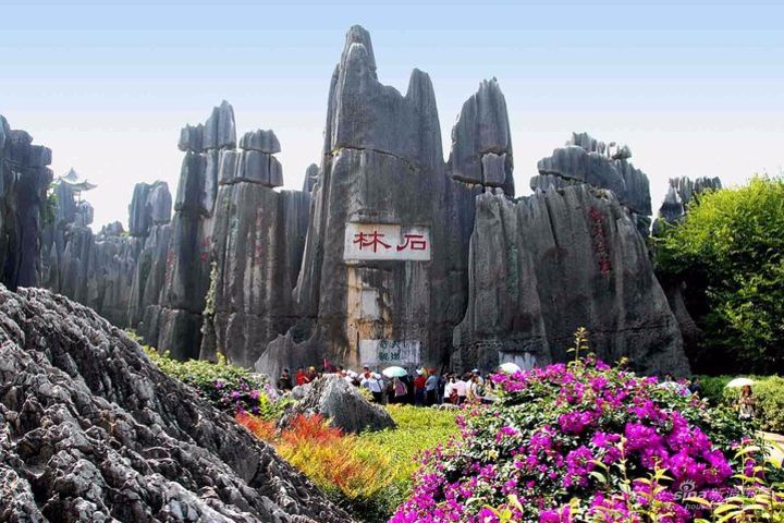 Private Tour of Stone Forest Geological Park in Kunming image