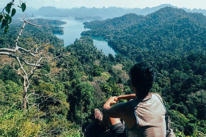 Khao Sok National Park Jungle Safari Full Day Tour from Phuket image