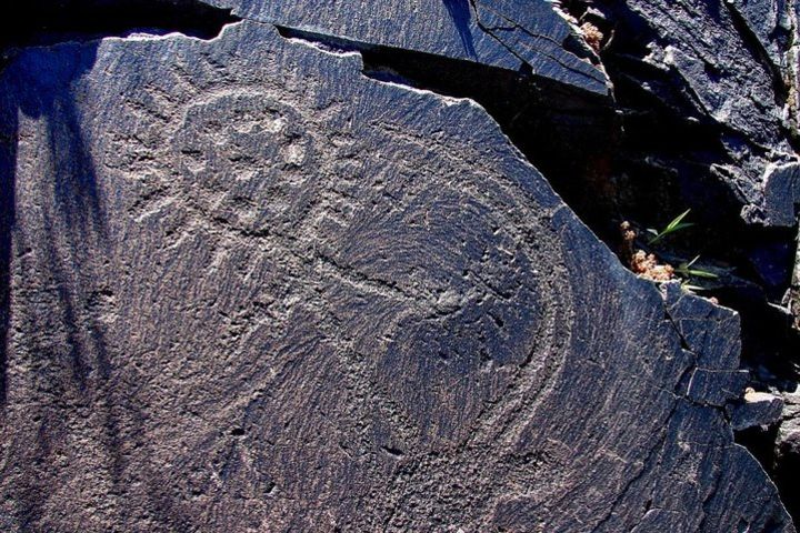 1 Day tour to Tamgaly petroglyphs  image