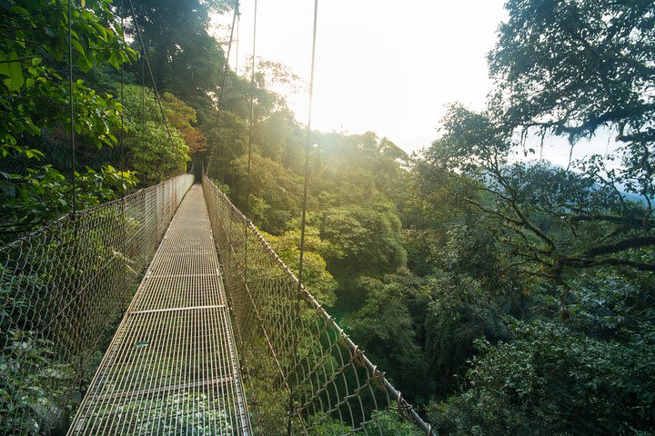 Arenal Hanging Bridges Hiking Tour image