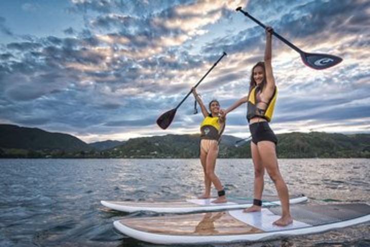 Rotorua Stand-Up Paddle Board Glow Worm Tour image