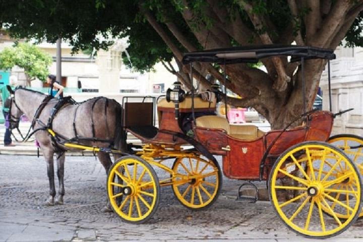 Horse-Drawn Carriage Ride through Seville image