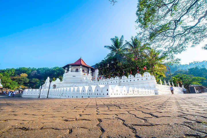 Kandy Day Tour from Kalutara & Wadduwa Hotels image