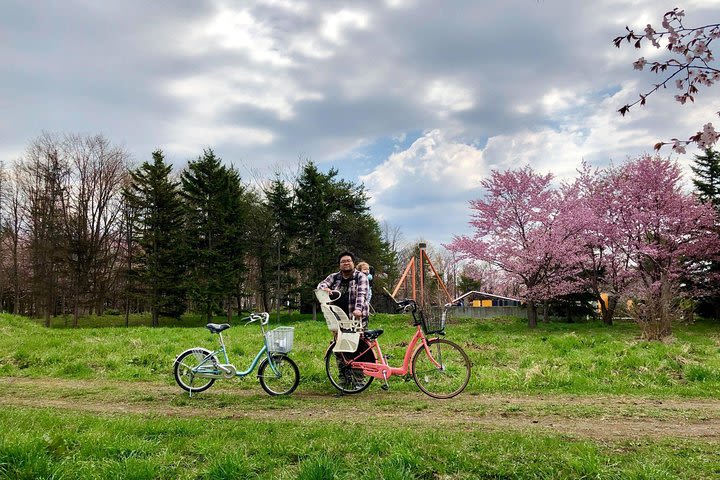 Seasonal Sapporo Area Cherry Blossom Tour image