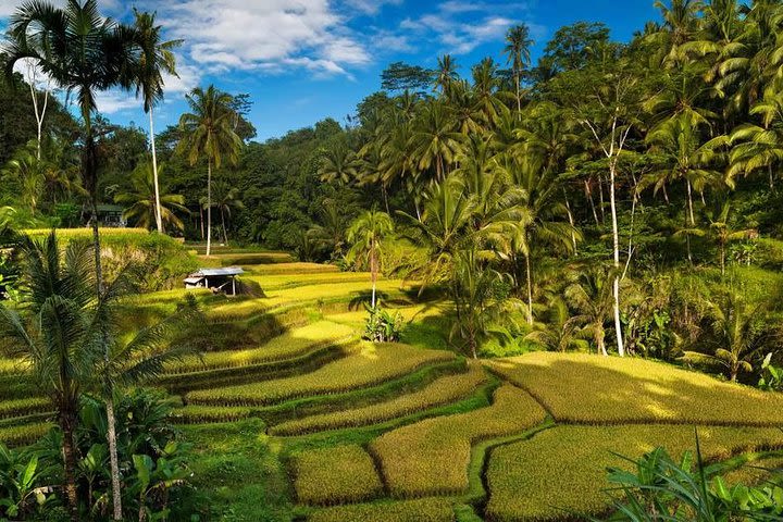 Exploring Bali in 3 Days: Discover Top Places in Bali image