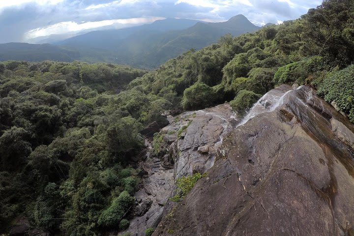 Knuckles Leopard trail Trek from Kandy image