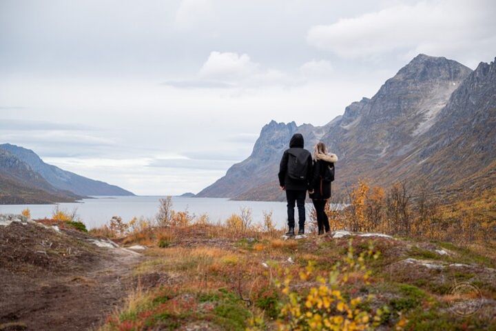 Arctic Roadtrip: Sommarøy with scenic picnic Ⓥ | Private | Sightseeing | 4x4 Van image